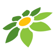 LINK LUCKY365